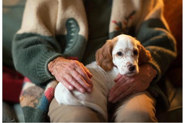 Humane Society of Charlotte Content Image 3