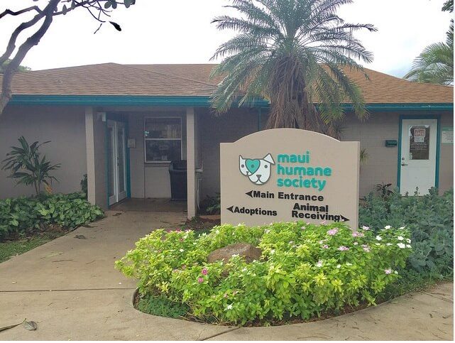 Humane society Maui 