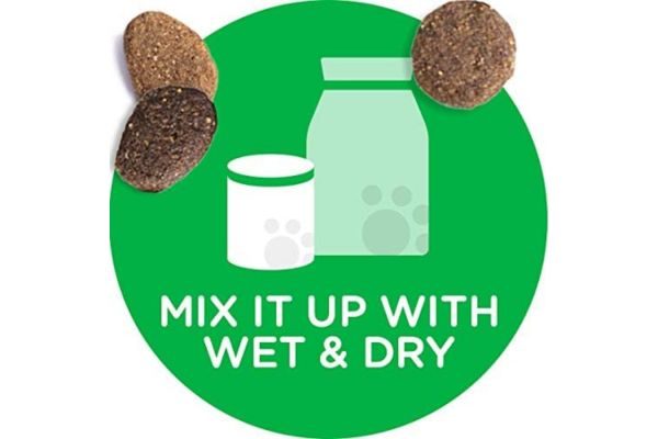 Iams Proactive Health Adult Minichunks Dry Dog Food