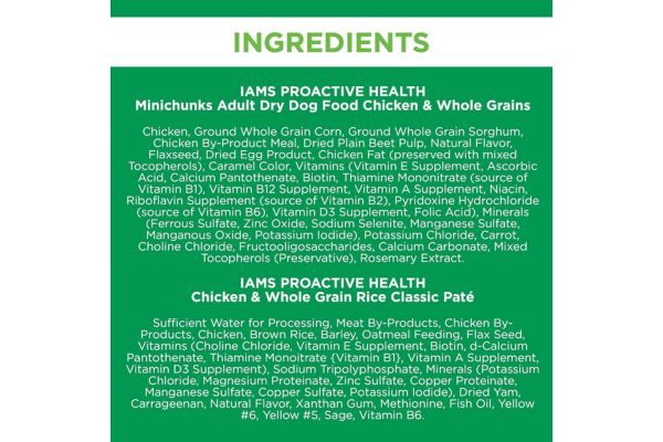 Iams Proactive Health Adult Minichunks Dry Dog Food