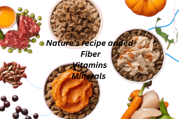 Nature's Recipe