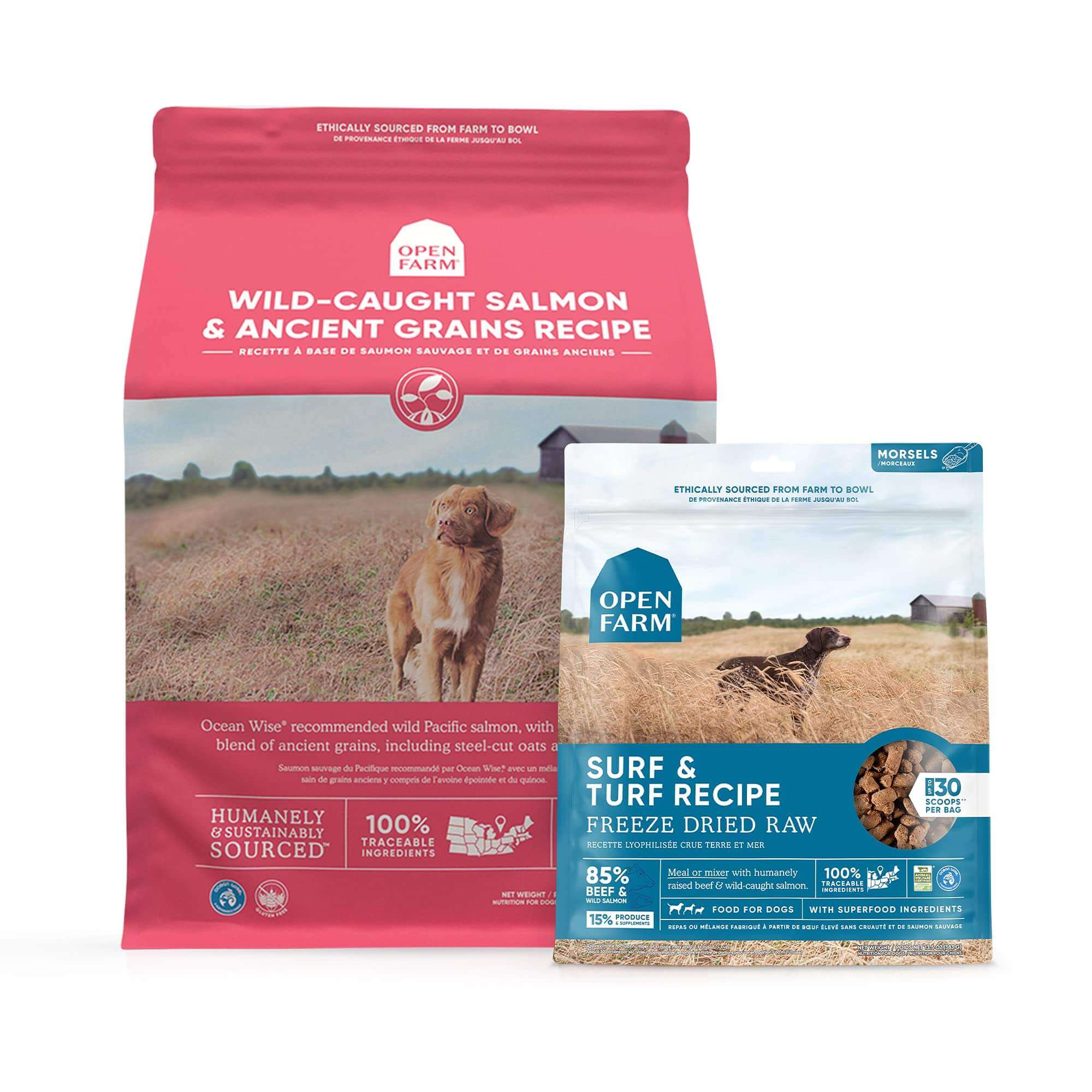 Open Farm Freeze Dried Raw Surf and Turf Dog Food Review [2023]