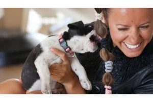 Puppy's Biting behavior