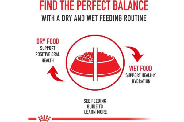 Royal Canin Canine Health Nutrition Adult Beauty Loaf in Sauce Canned Dog Food