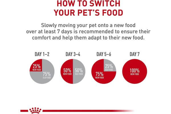 Royal Canin Canine Health Nutrition Adult Beauty Loaf in Sauce Canned Dog Food