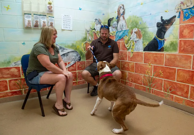 Humane Society Of The Treasure Coast