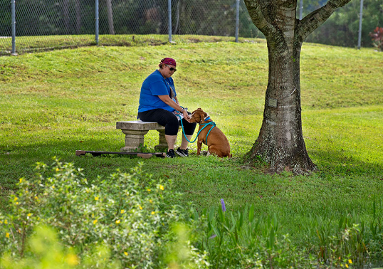 Humane Society Of The Treasure Coast