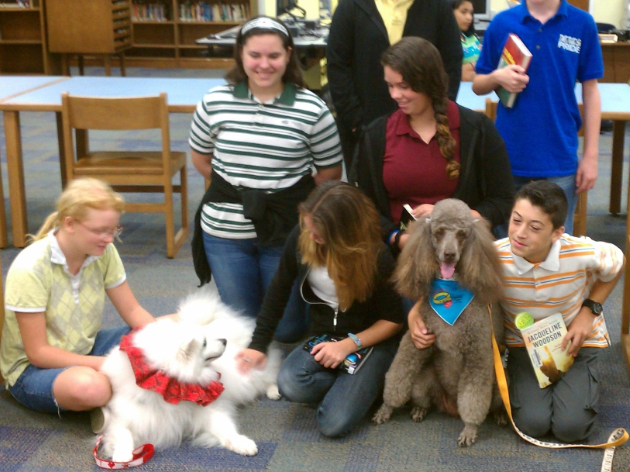 Humane Society Of The Treasure Coast