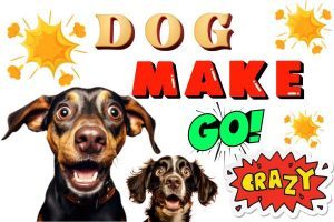 Sounds That Make A Dog Go Crazy