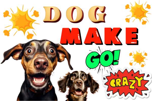 Sounds That Make A Dog Go Crazy