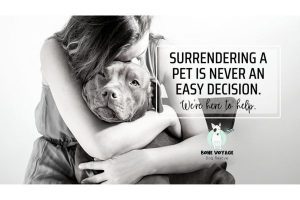 Surrender their Dog
