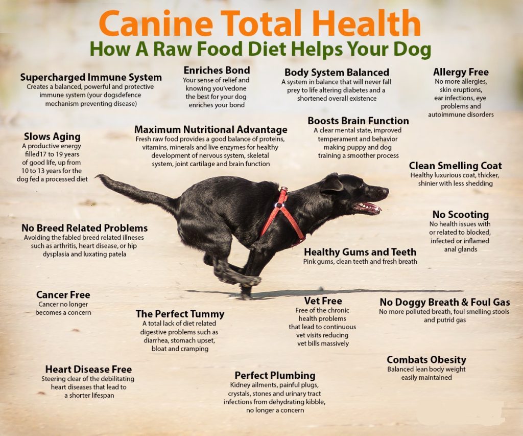 Dog Raw Diet