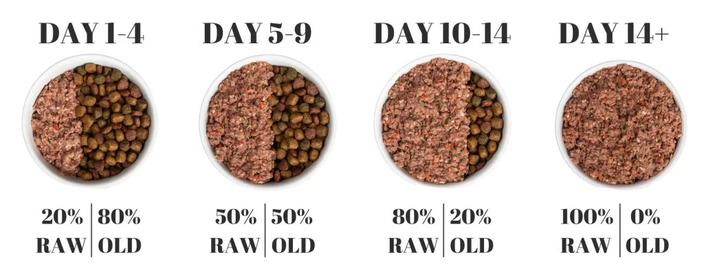 Dog Raw Diet