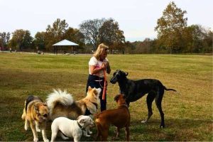 Two Rivers Dog Park