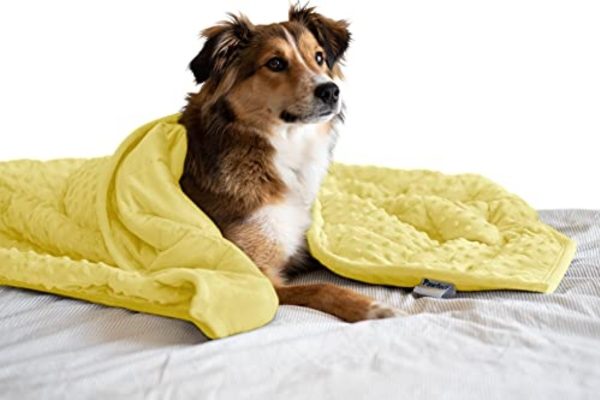 Weighted Blanket