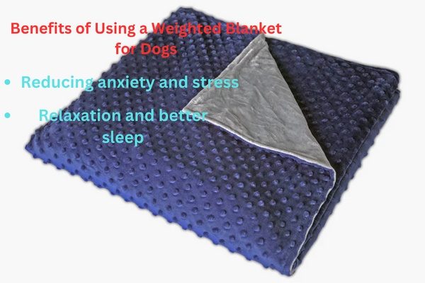 Weighted Blanket 