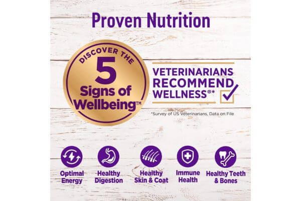 Wellness Complete Health Dry Dog Food with Grains