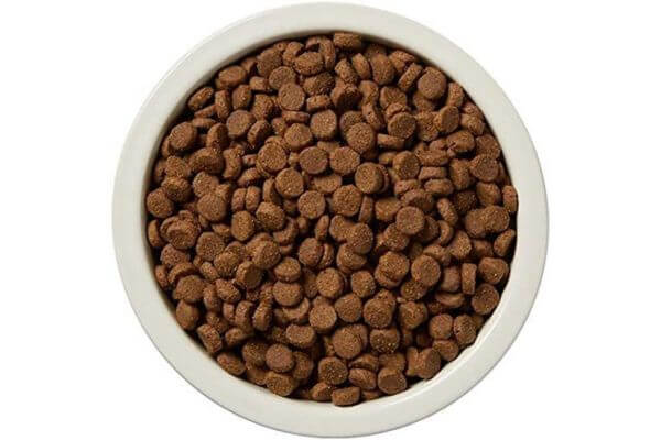 Wag Dry Dog Food Salmon and Brown Rice