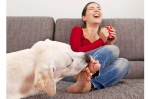 Why Does My Puppy Keep Biting Me
