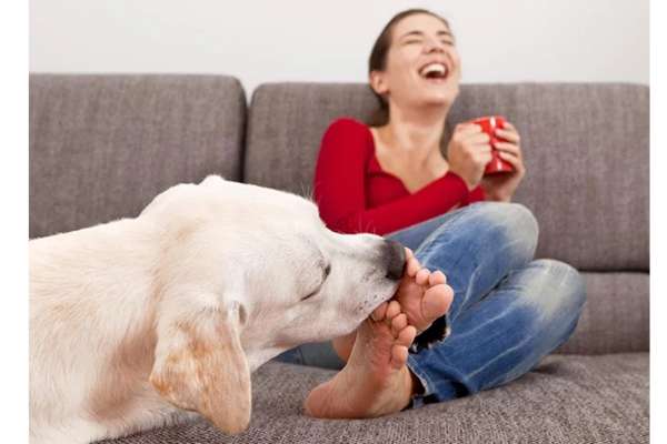 Why Does My Puppy Keep Biting Me