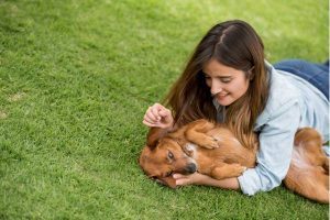 adopted dog