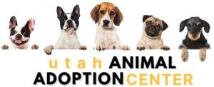 animal shelters in Utah
