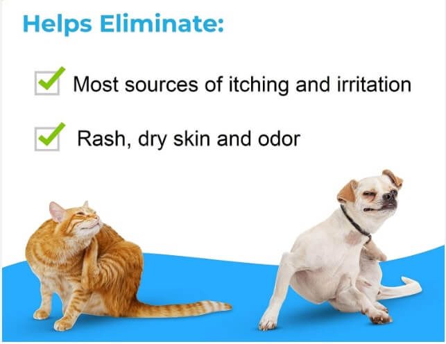 Benzoyl Peroxide Shampoo for Dogs