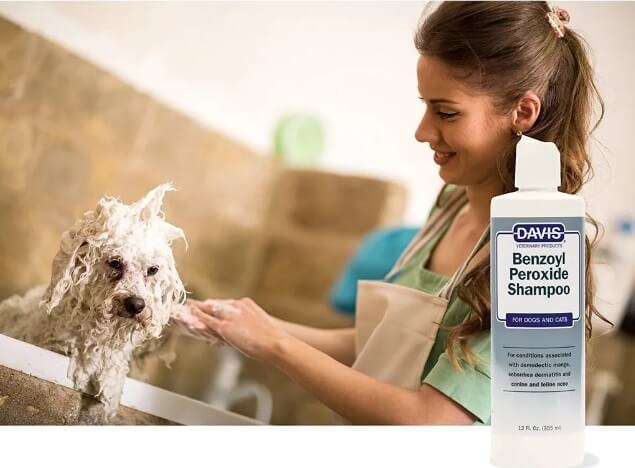 Benzoyl Peroxide Shampoo for Dogs