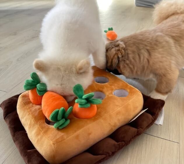 Carrot Dog Toy