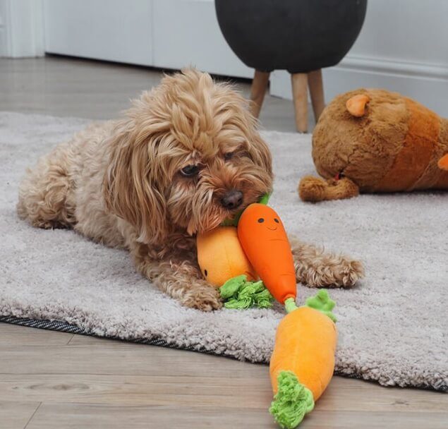 Carrot Dog Toy