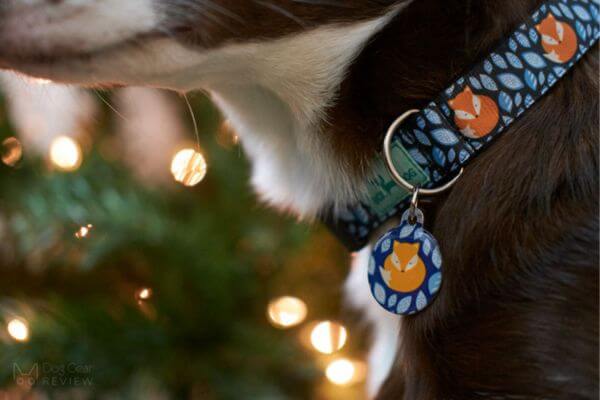 Chaco Dog Collars