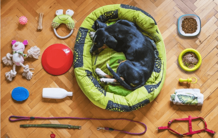 chicago craigslist pets