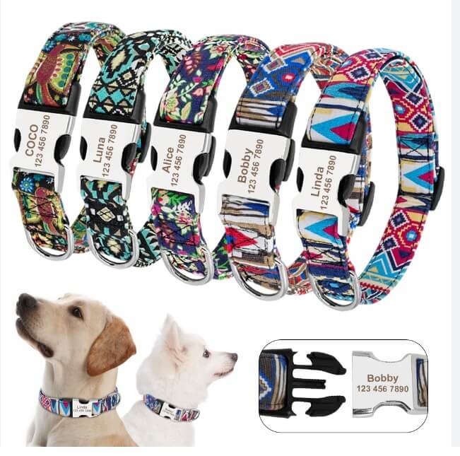 dog collar with name plate