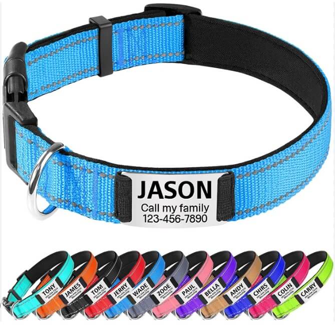 Dog Collar With Name Plate