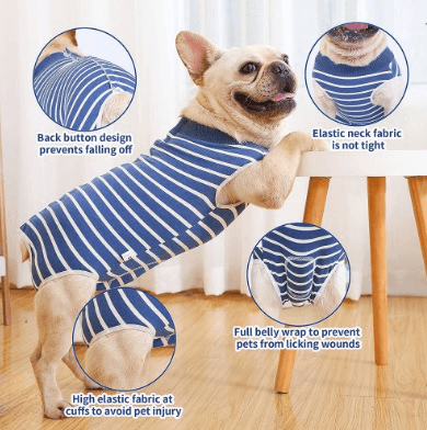 dog recovery suit