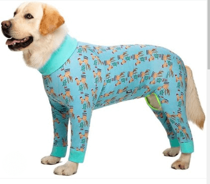 dog recovery suit