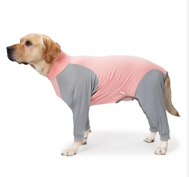 dog recovery suit