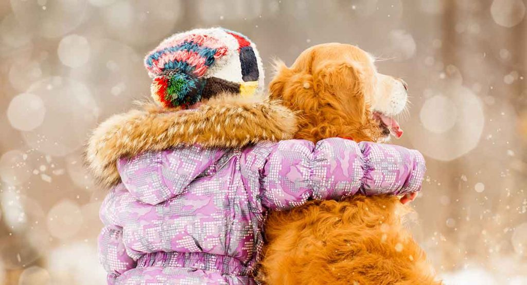 Female Golden Retrievers