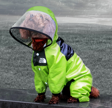 Dog Rain Jacket