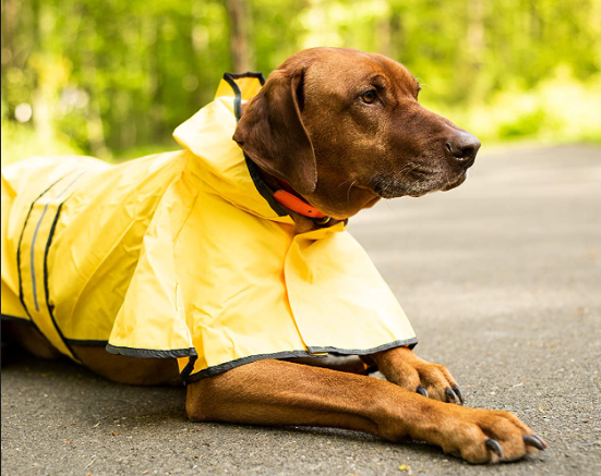 Dog Rain Jacket