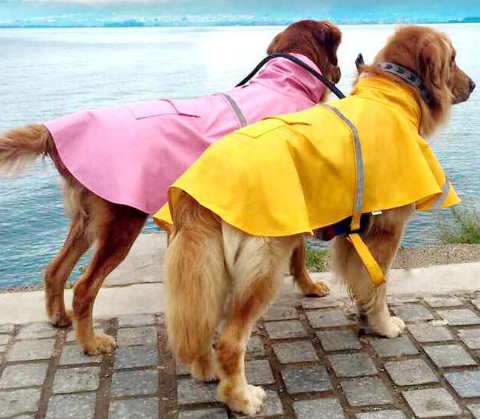 Dog Rain Jacket