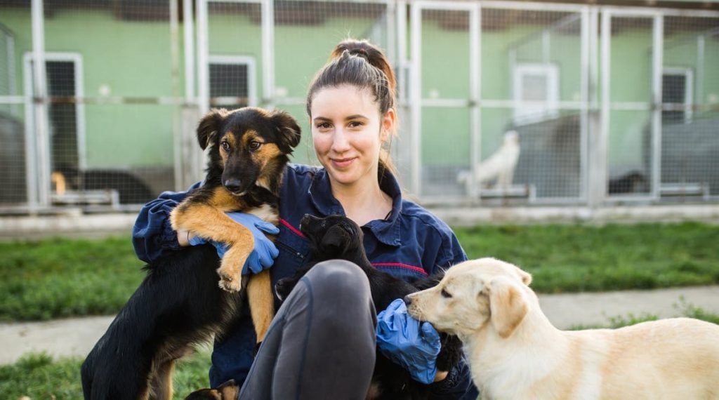 Bright Eyes Dog Rescue