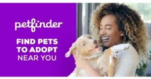 petfinder nc