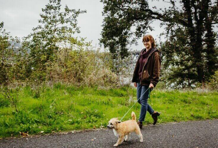 Portland Craigslist Pets