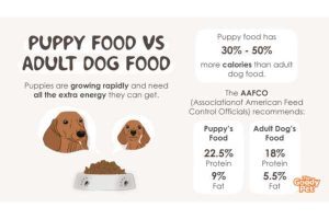 puppy food to adult food