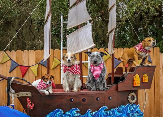 Putnam-Kennel-Club