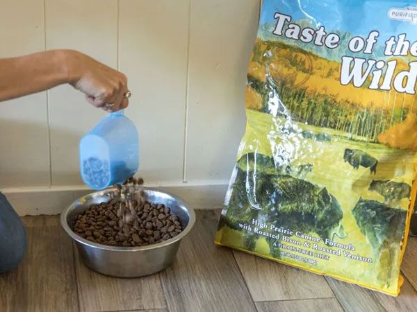 Premium Taste of the Wild Dog Food – High-Quality, Grain-Free Nutrition for Your Best Friend