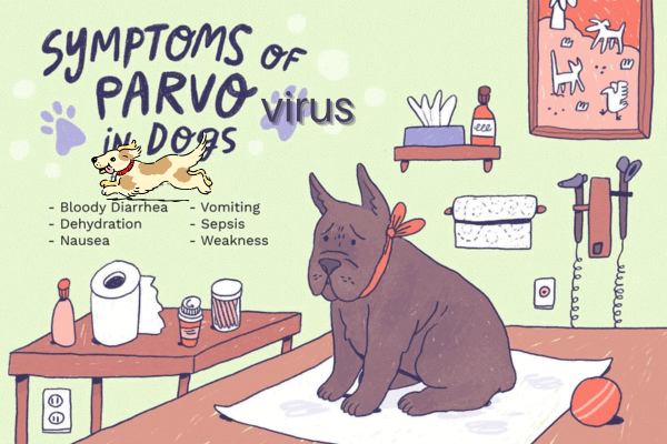 virus