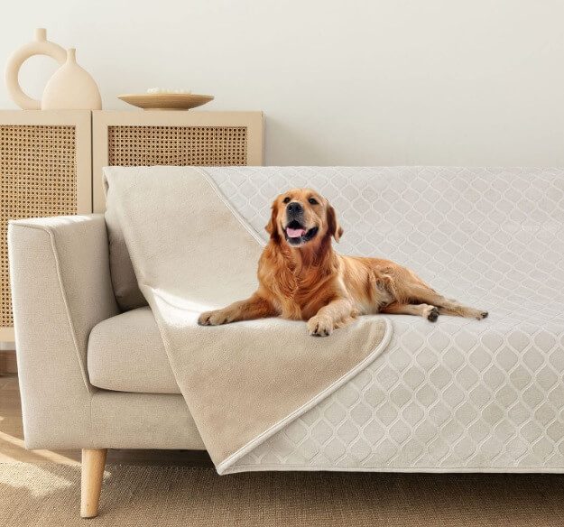 waterproof dog blanket