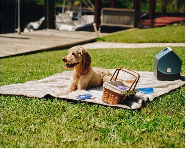 waterproof dog blanket 